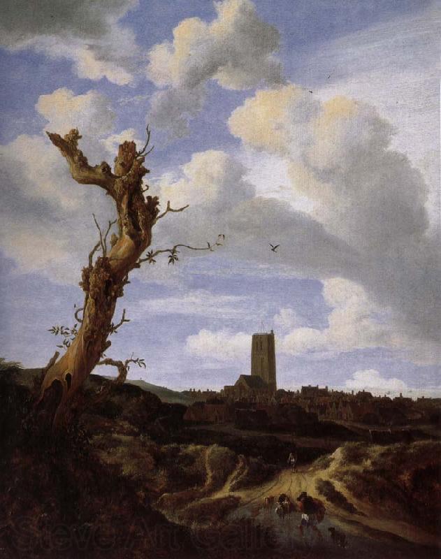 Jacob van Ruisdael View of Egmond aan Zee with a Blasted Elm Norge oil painting art